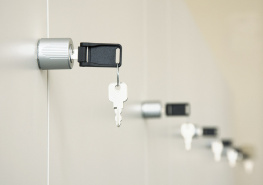 Мастер-системы