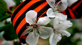 График работы на майские праздники 2019