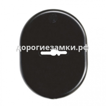 Декоративная накладка Securemme 4301 Classic фото в интернет-магазине ДорогиеЗамки.рф