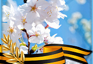 График работы 1 по 11 мая 2021г